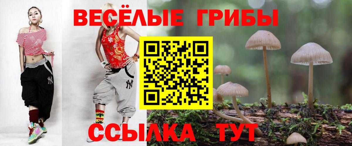 Псилоцибиновые грибы Magic Shrooms Сызрань